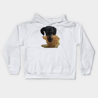 Puppy Toy Kids Hoodie